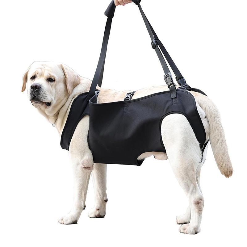 Harness Climbing Adjustable - 犬用階段補助リーシュ、高齢犬用サポートスリング、調節可能なペットリフトベスト、大型犬用階段昇降補助ハーネス