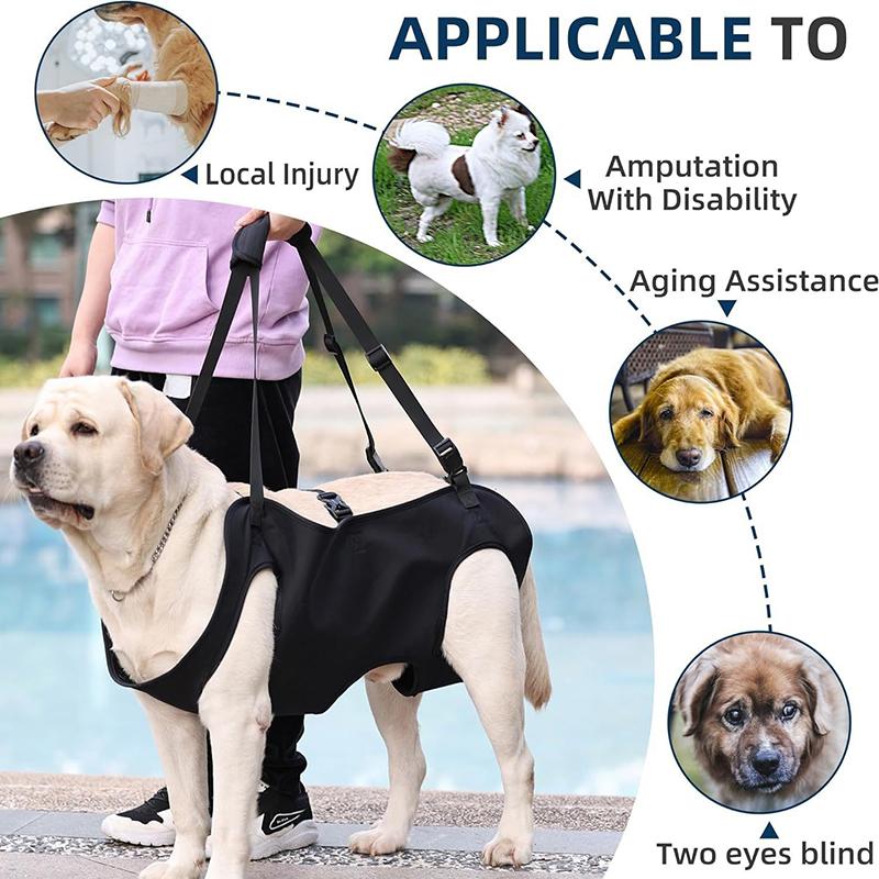 犬用階段補助リーシュ、高齢犬用サポートスリング、調節可能なペ - Harness Climbing Adjustable のレビューと価格