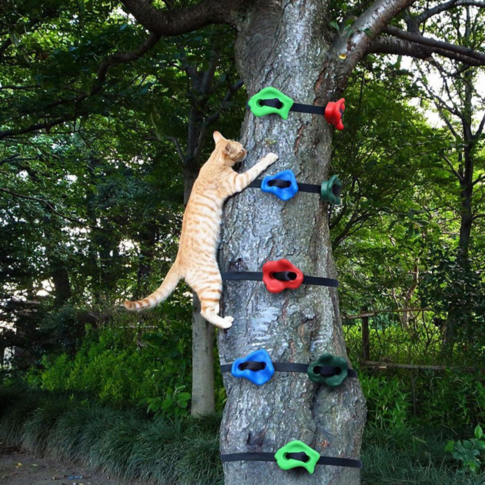 屋外クライミング遊具 調節可能な頑丈な障害物コース トレーニ - Outdoor Adventure Course のレビューと価格